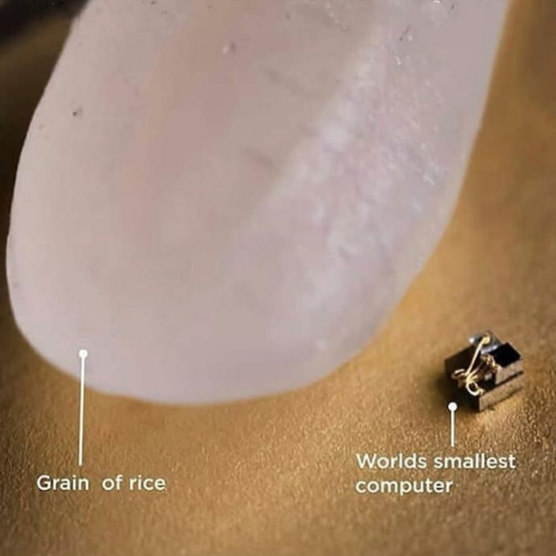 Grain of rice compared to the world&#039;s smallest computer