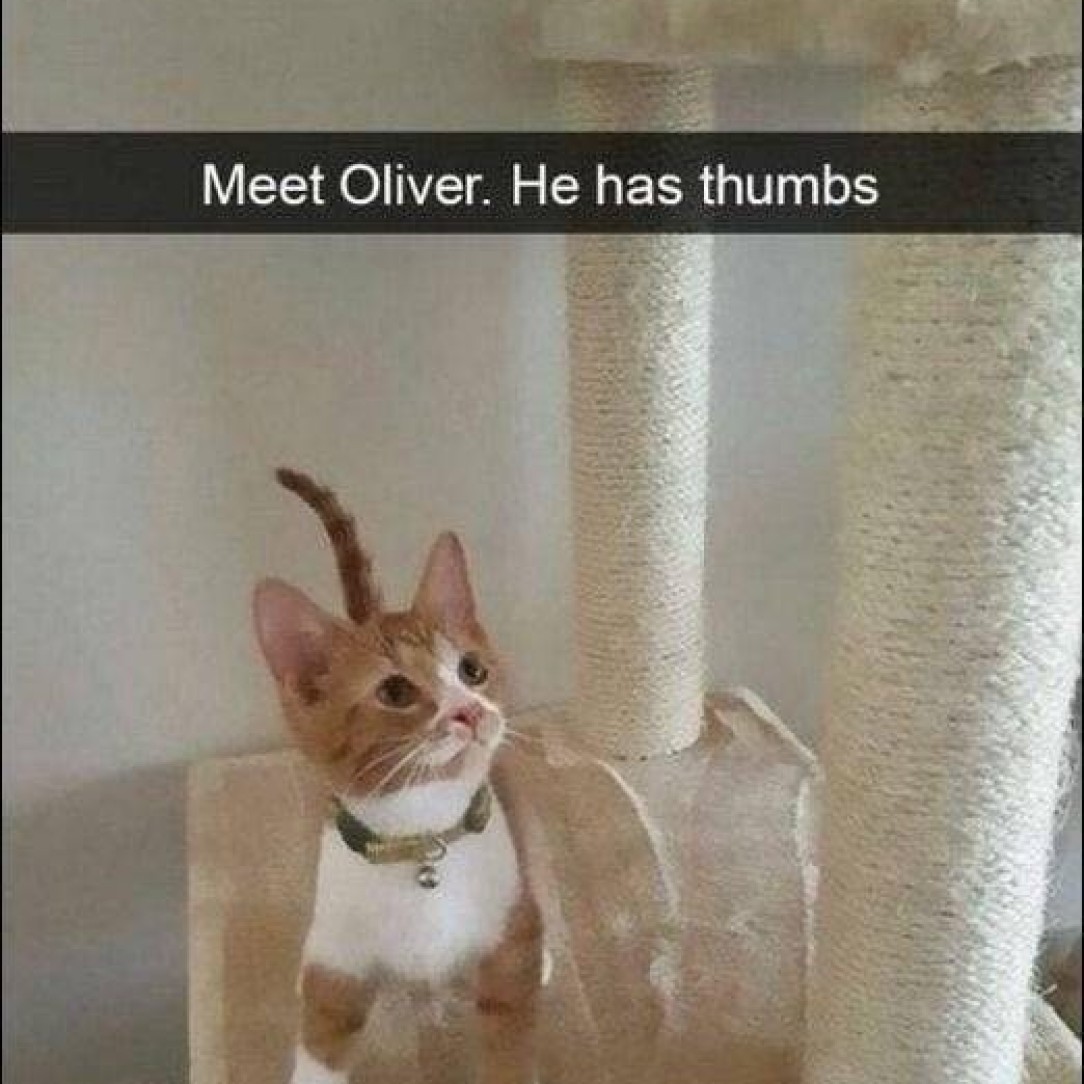 He has thumbs!