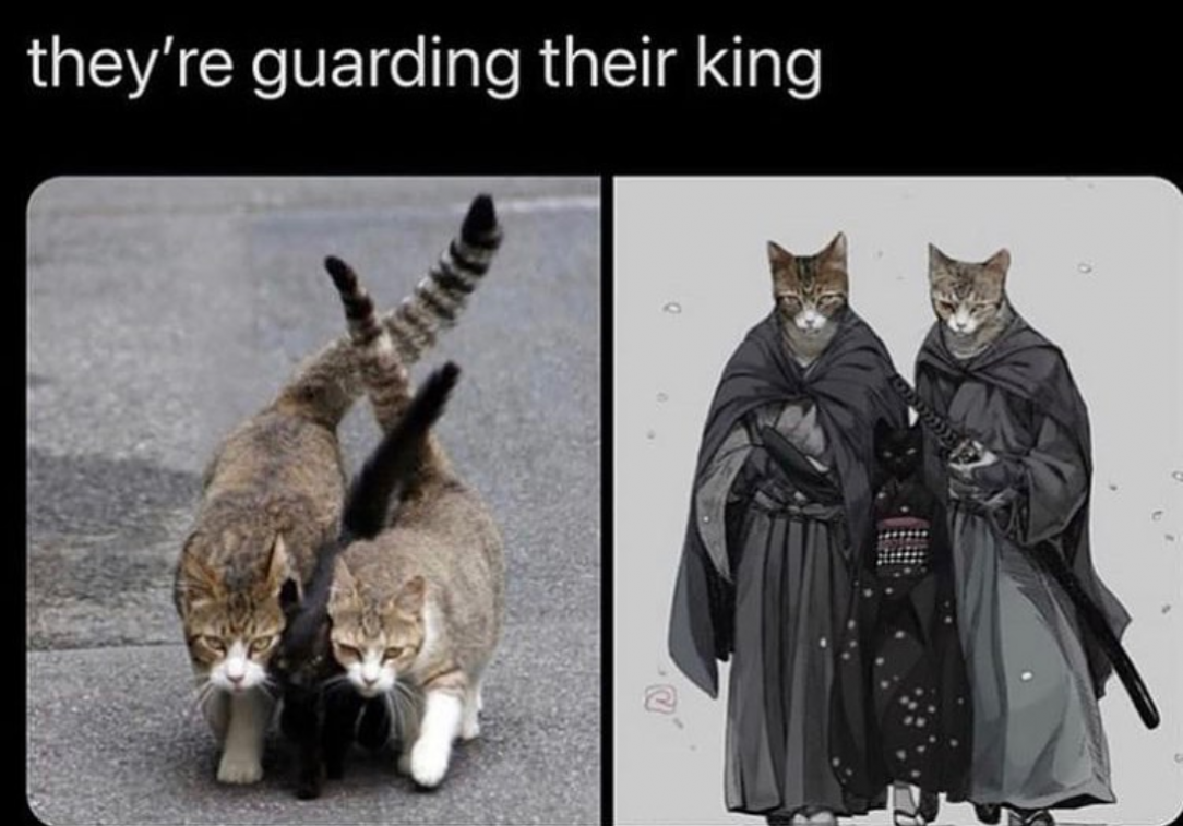 Kitty and Pürr, ominous bodyguard