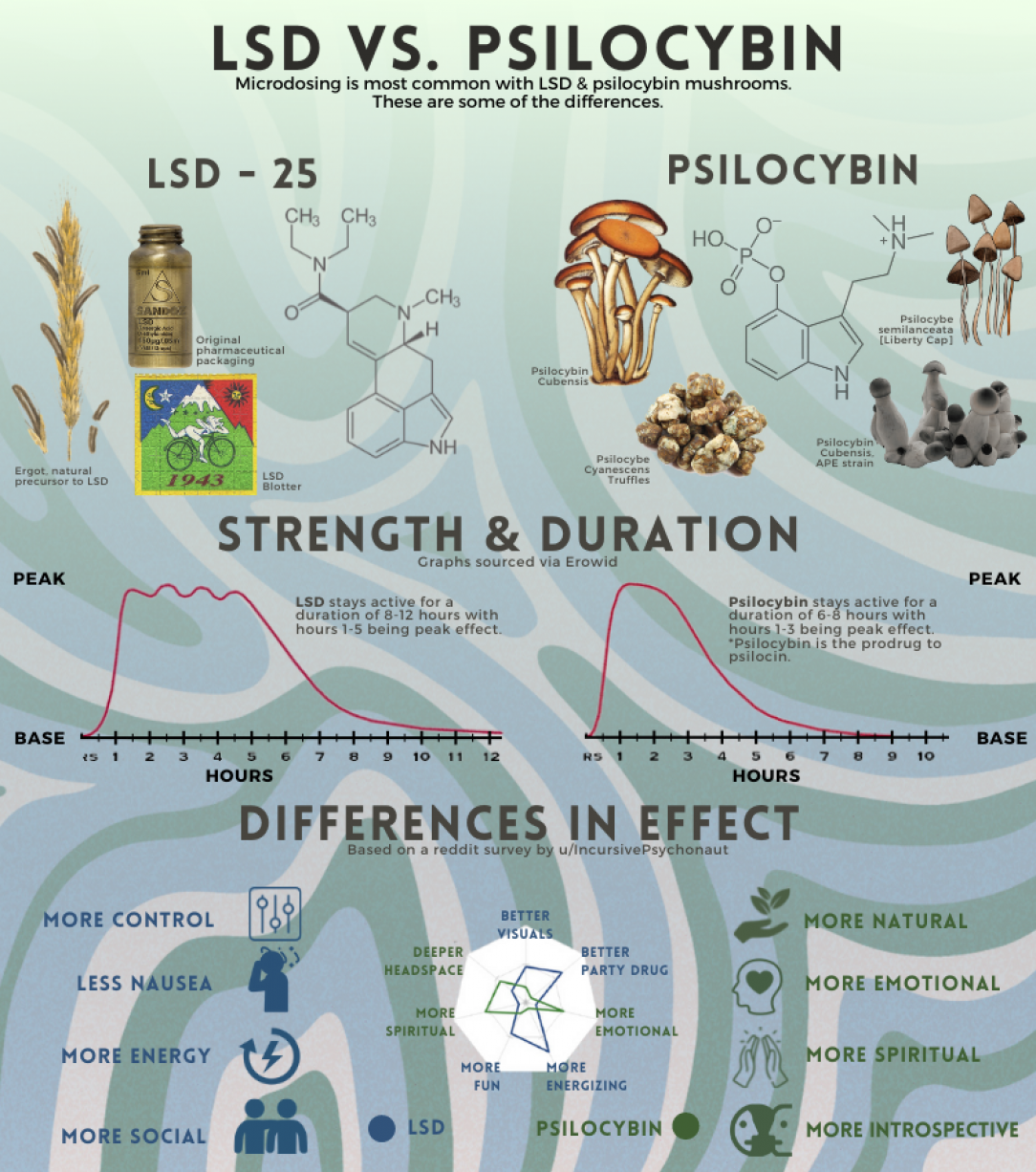 A graphic u/tgraham4444 made to show the differences between LSD &amp;amp; psilocybin