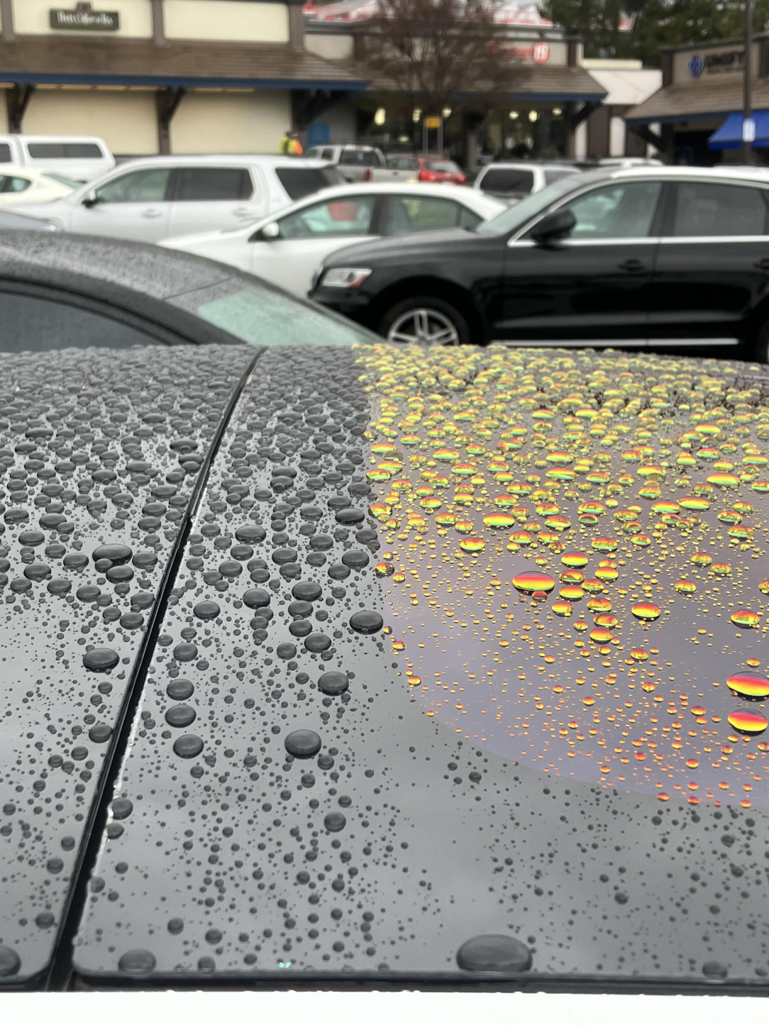 The rain droplets changing color on the roof of this car. So pretty!