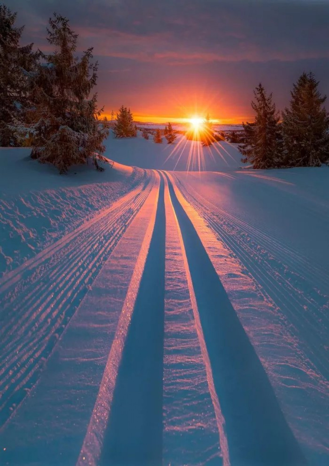 Snow tracks in the sunset