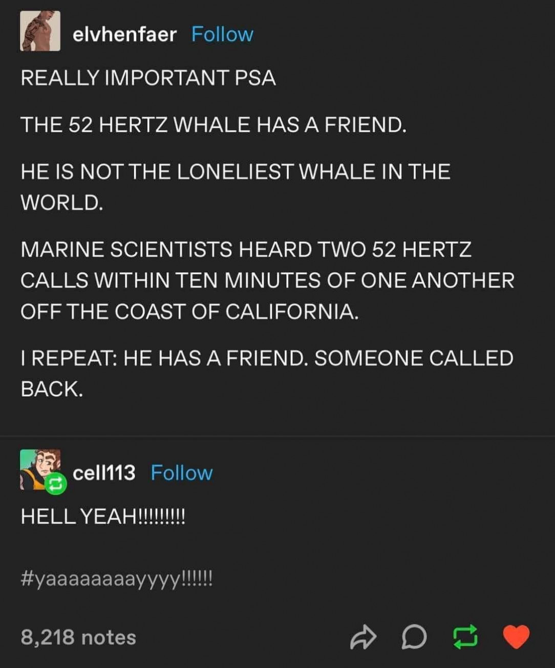 The 52 Hertz Whale has a friend!