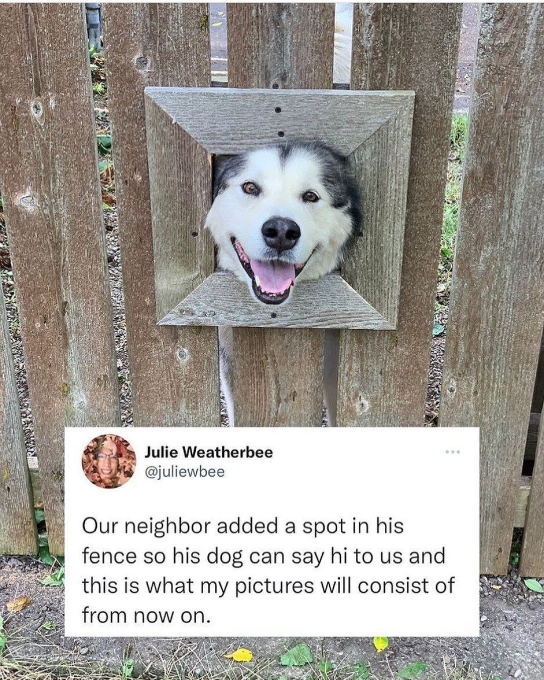 Very wholesome neighbours