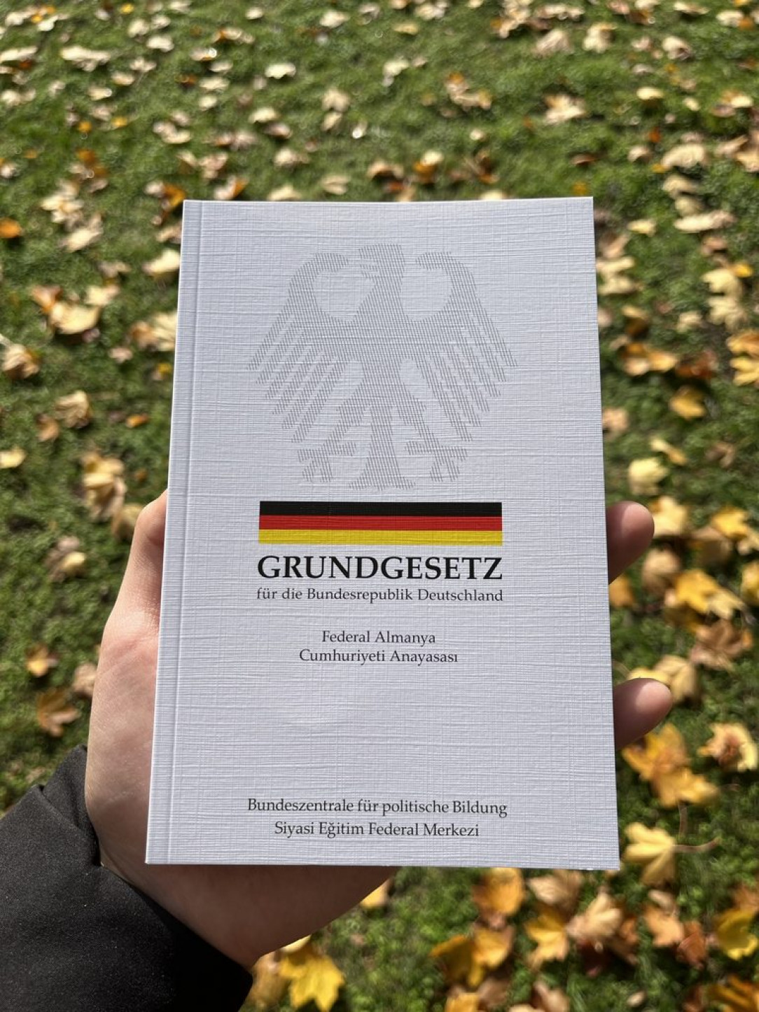 You can order German constitution for free in multiple languages in Germany