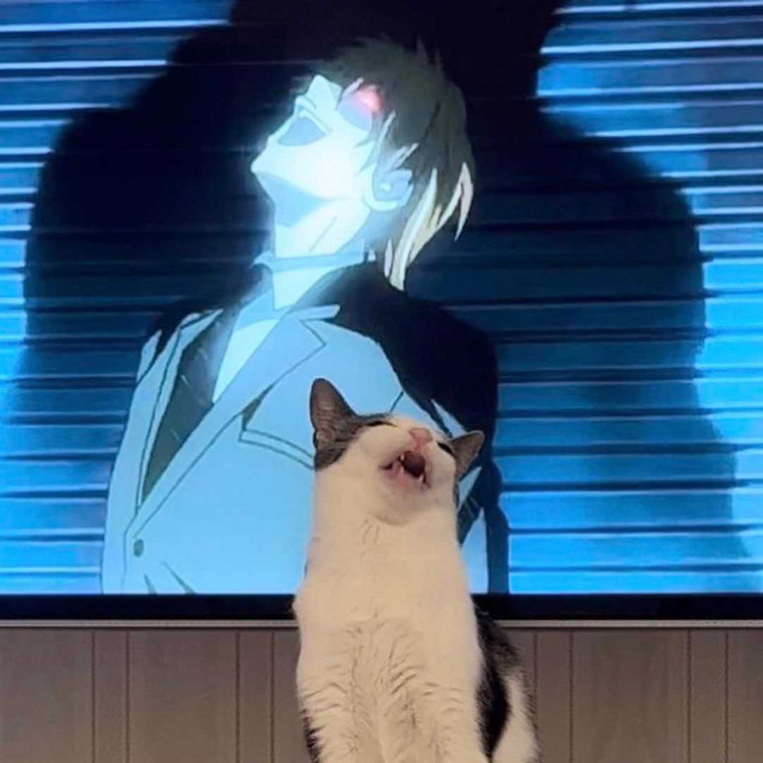 Weeb Cat, Thinks He&#039;s an Anime Villain