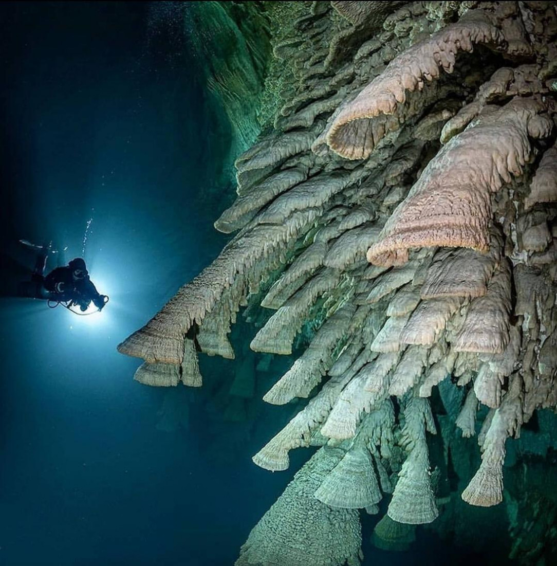 Scary stalactites beneath the ocean that make me nervous