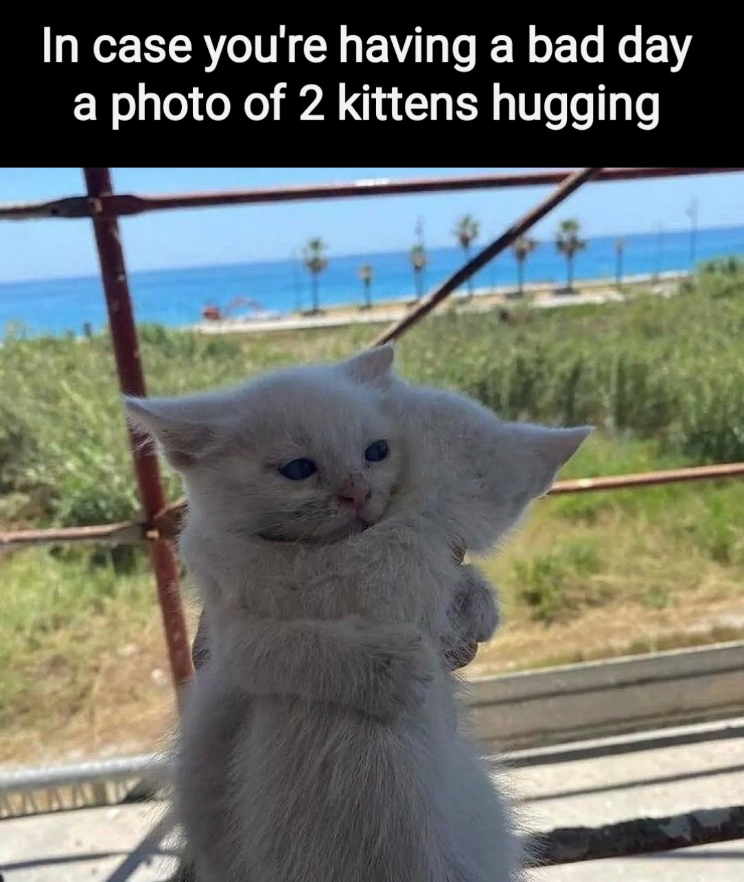 Who else needs a hug?