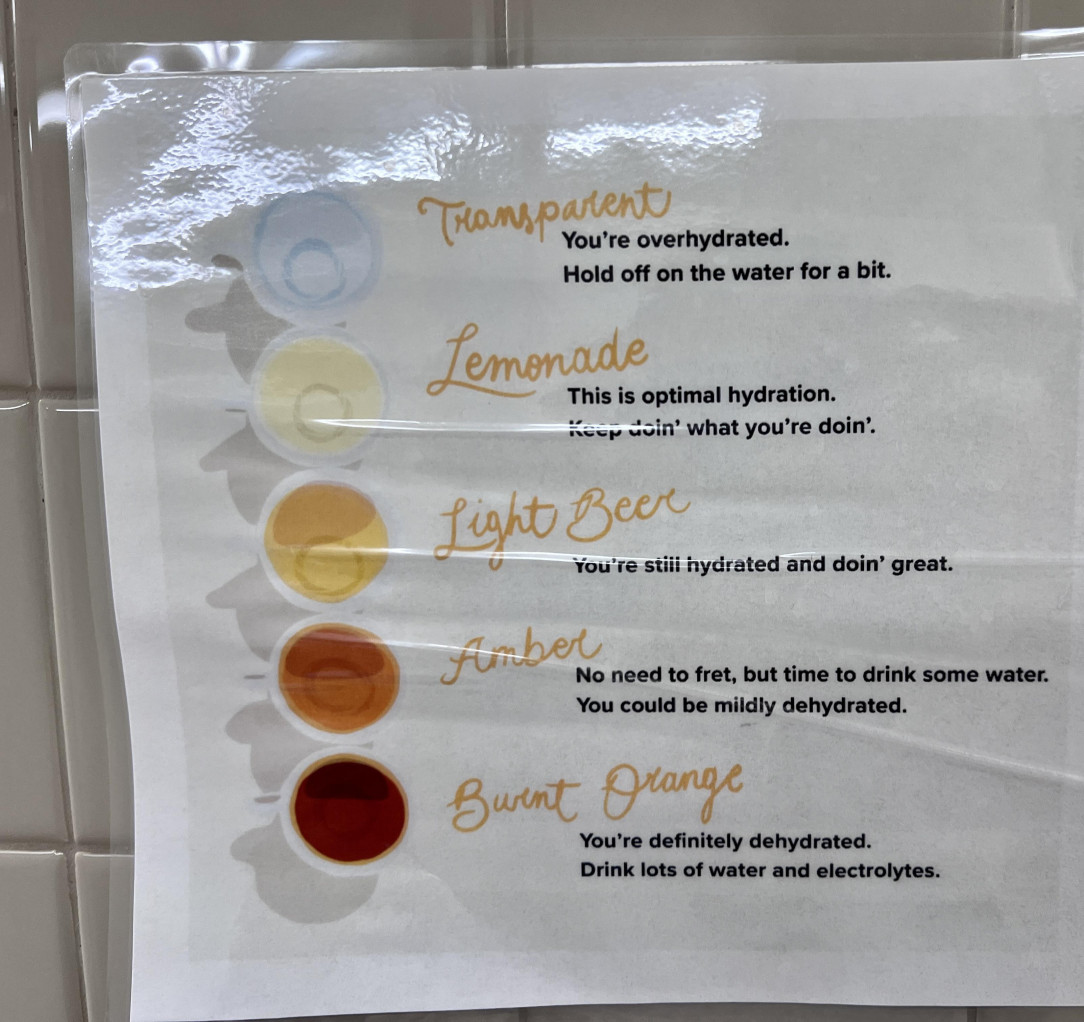 Urine color guide