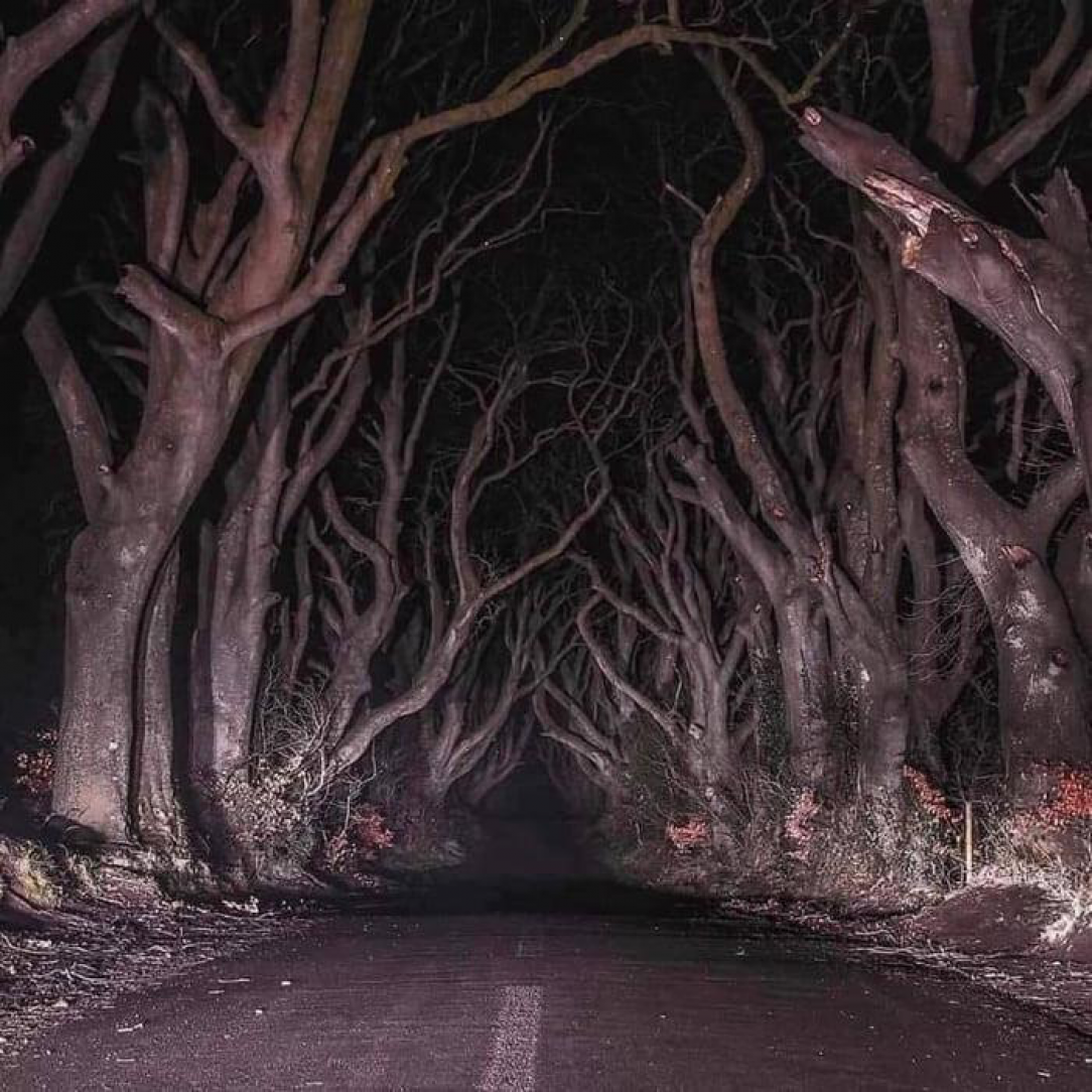 Creepy road