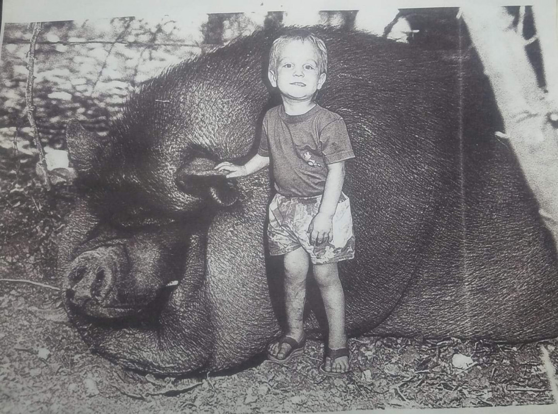 Hey son, go pose for a pic with our monster pot belly pig