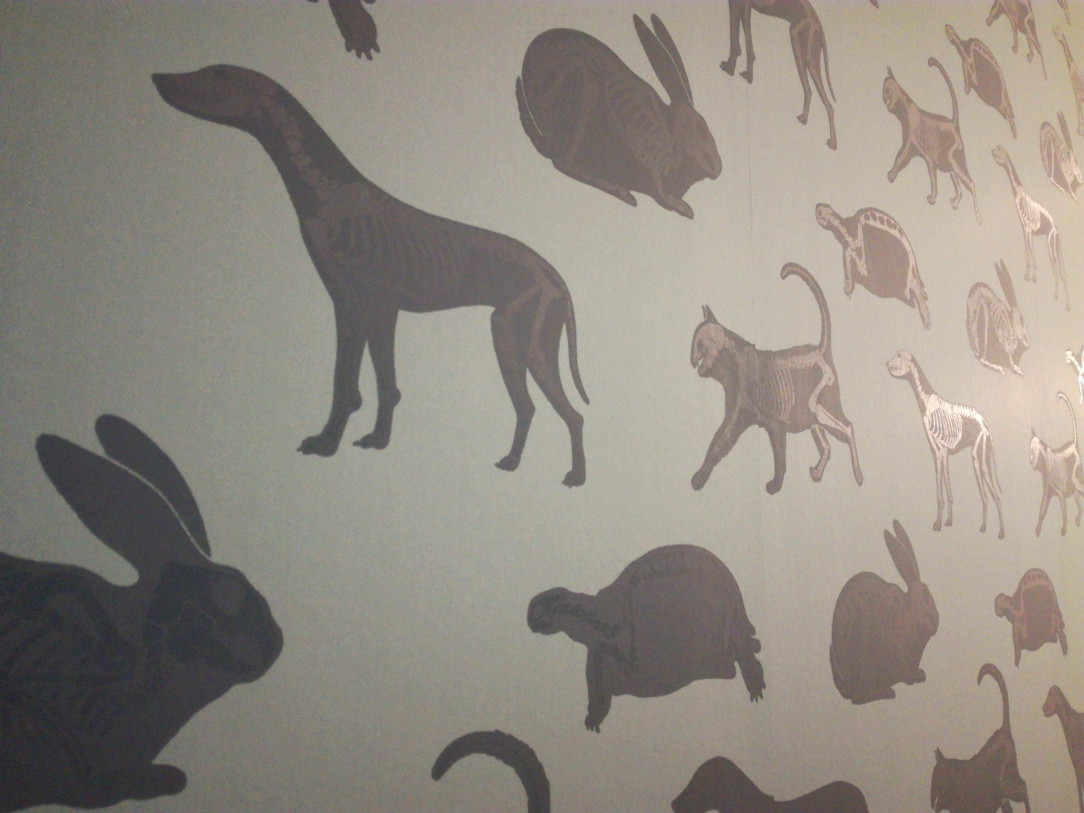 The wallpaper at the vet&#039;s has animal silhouettes with shiny skeletons in them