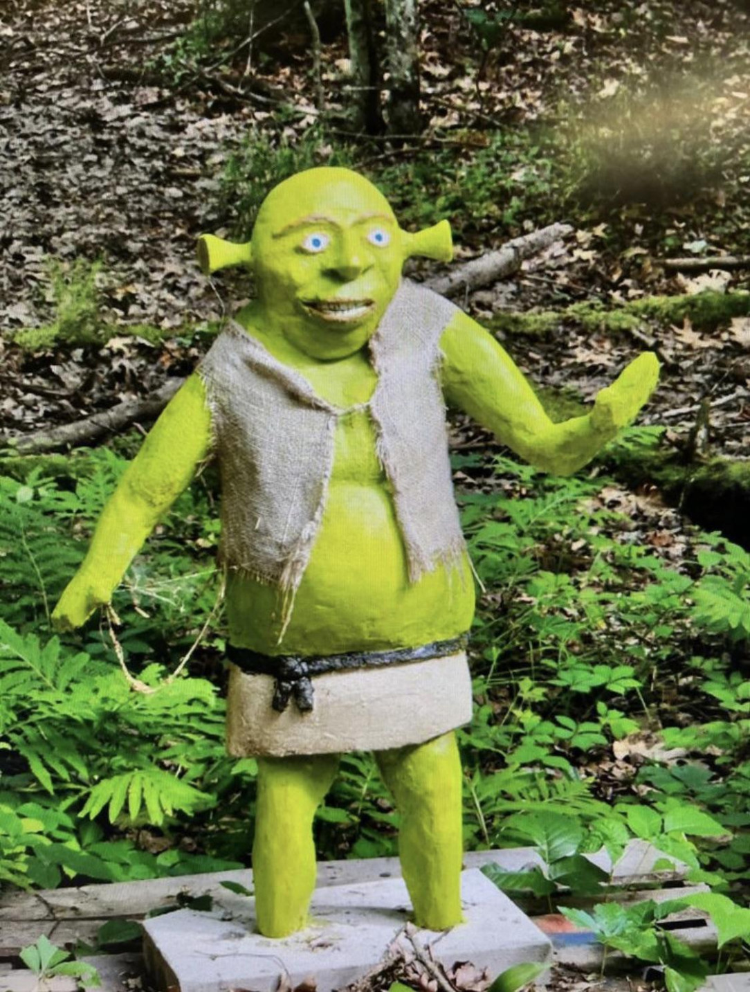 Someone stole this 200 pound Shrek statue from a house near me