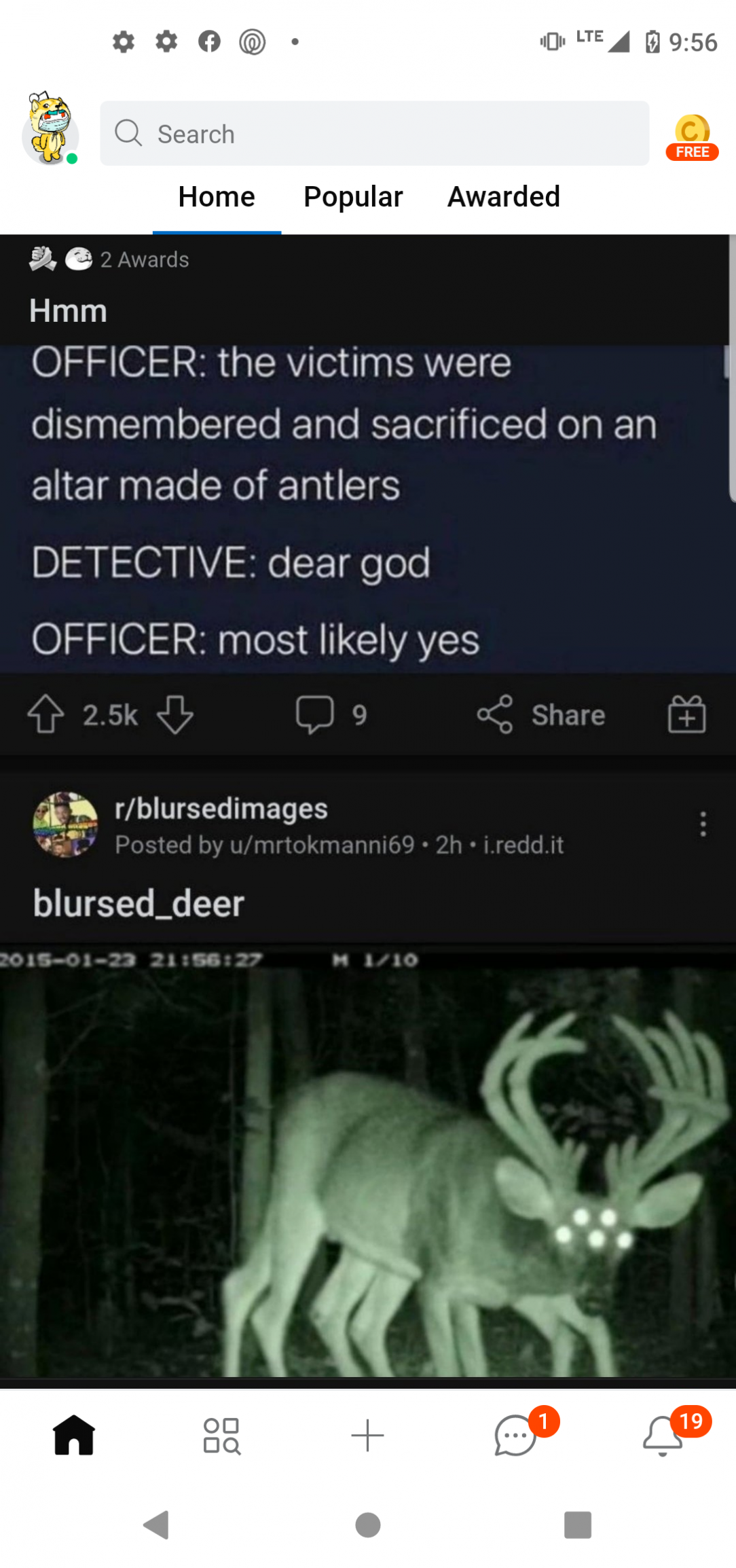 Lord deer, the godly coincidence