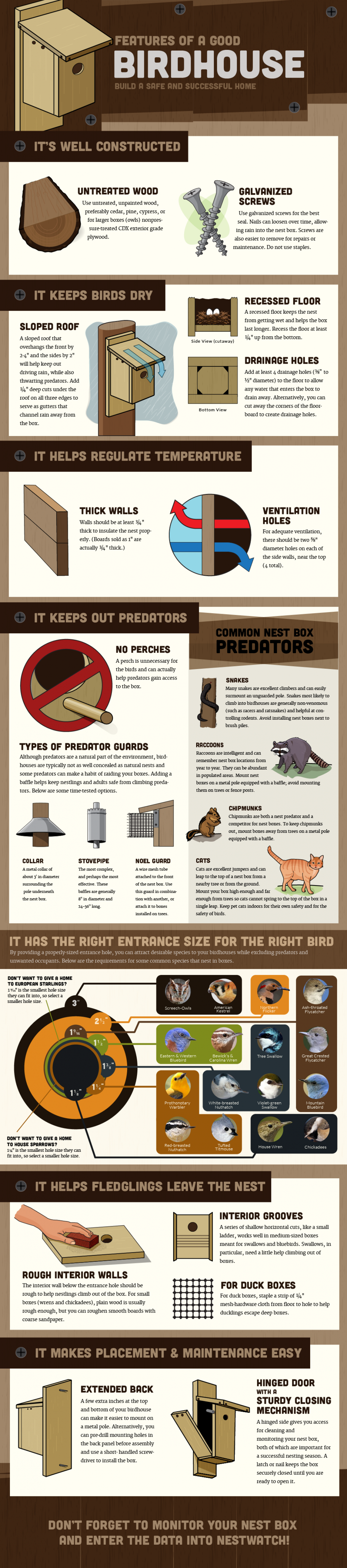 Features of a good birdhouse