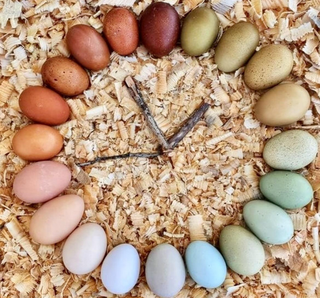 Beautiful clock with colorful eggs