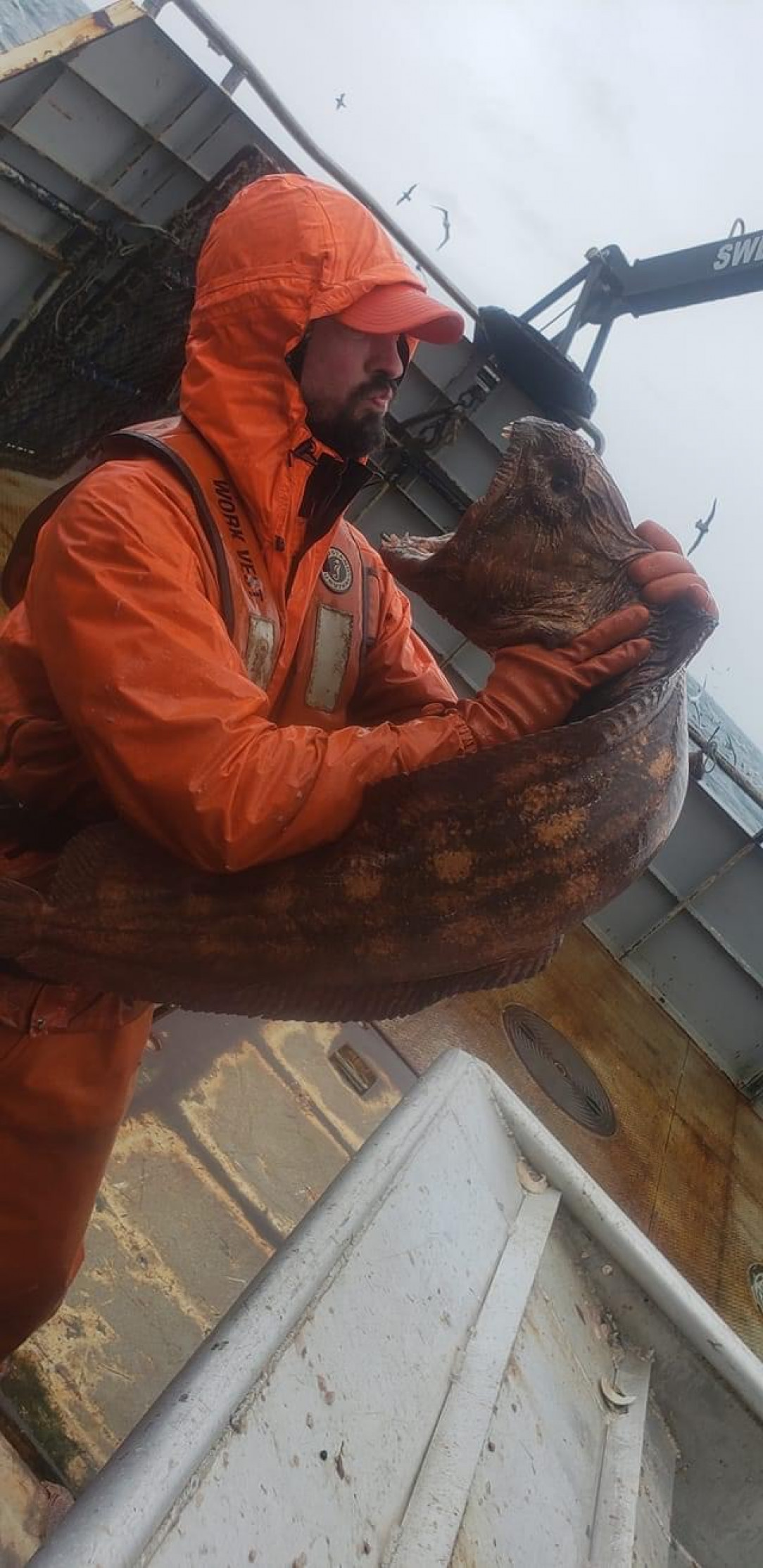 Fisherman caught a deep-sea Wolf Eel
