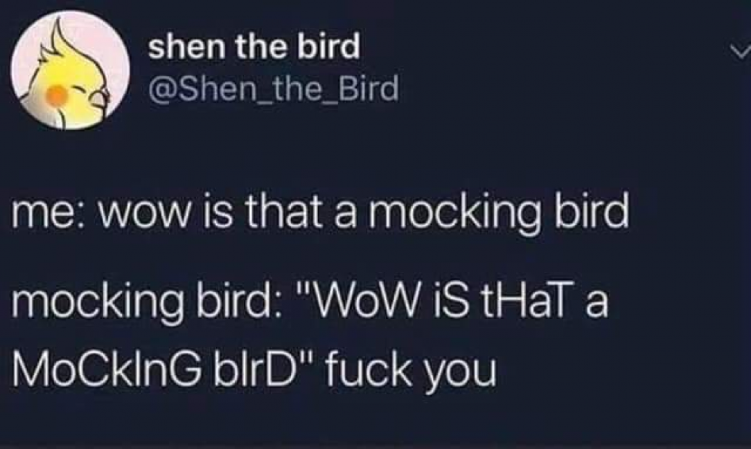 Dick birds are cyber bullying now