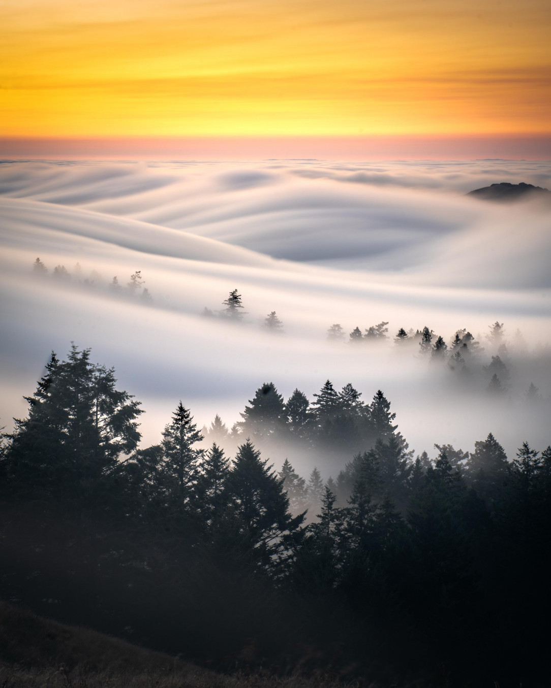 Sea of clouds rolling at Mt Tamalpais, San Francisco, CA 😮🥰😍