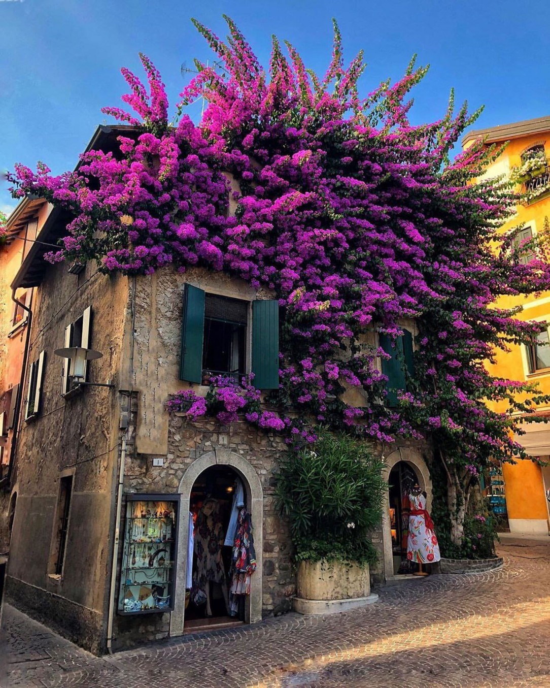 The flowers on this house