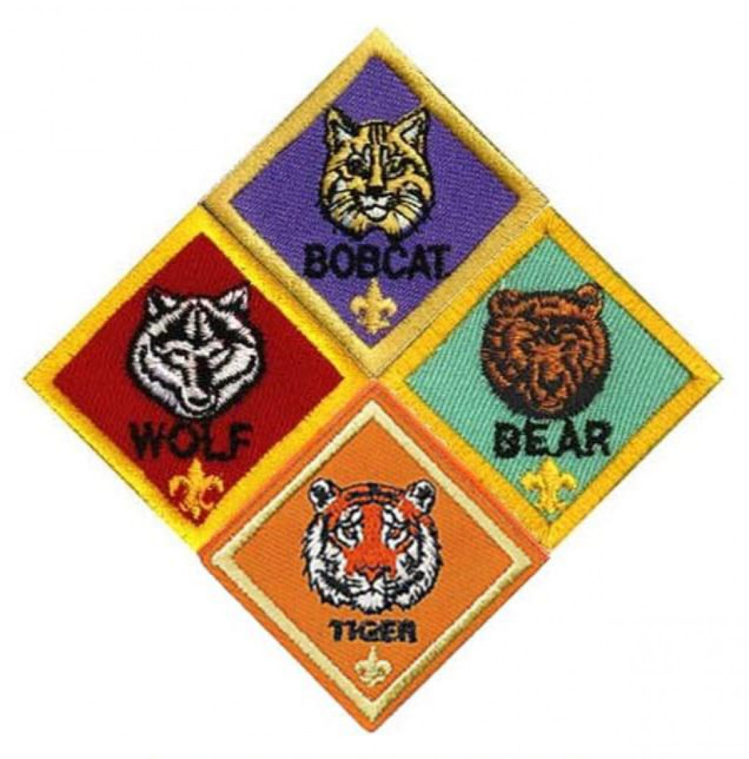 Boy Scout Patches