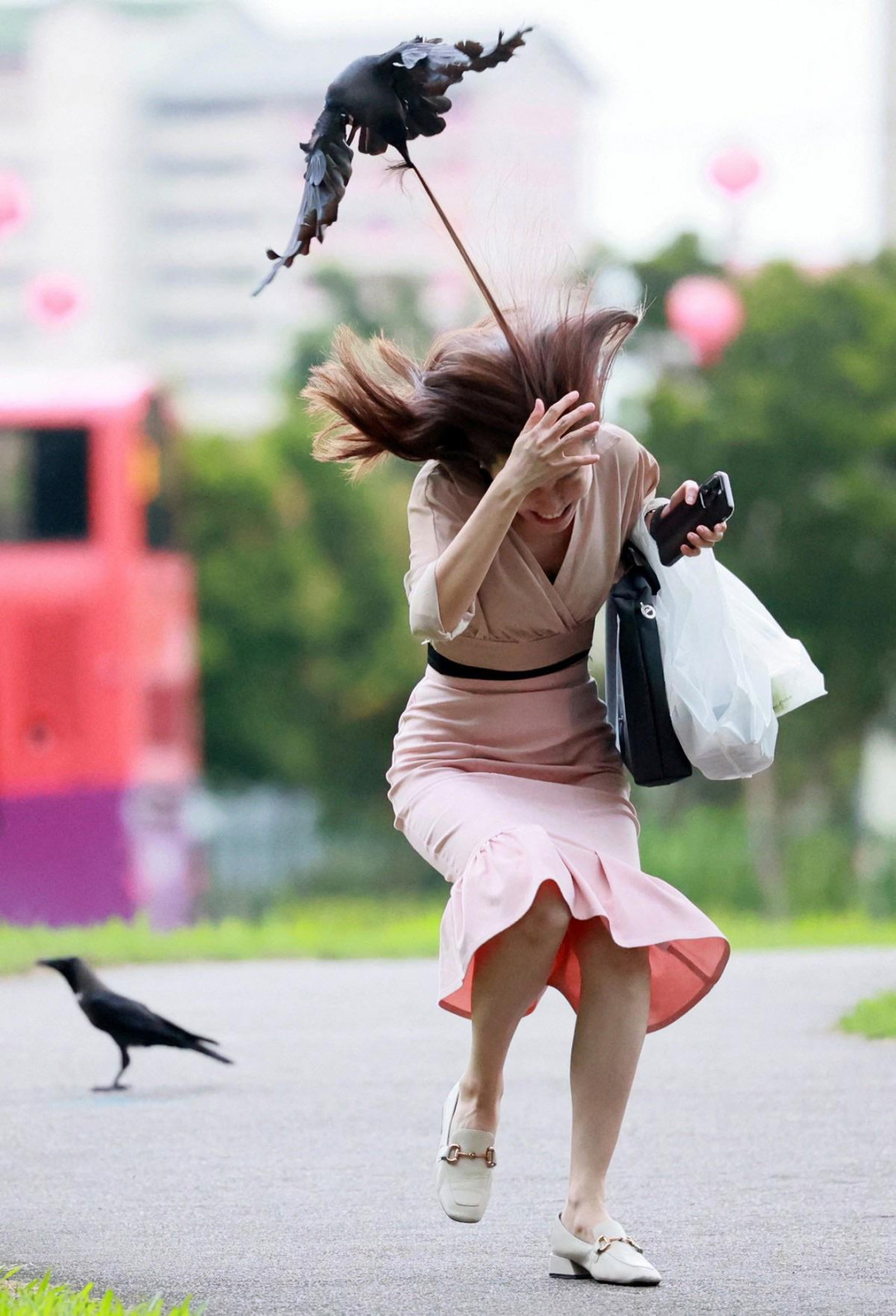 Ouch! Bird pulling woman’s hair…