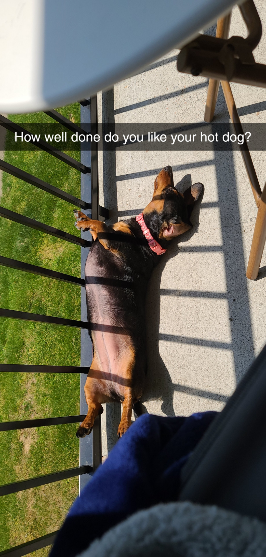 It&#039;s a nice day out and she loves to sunbathe