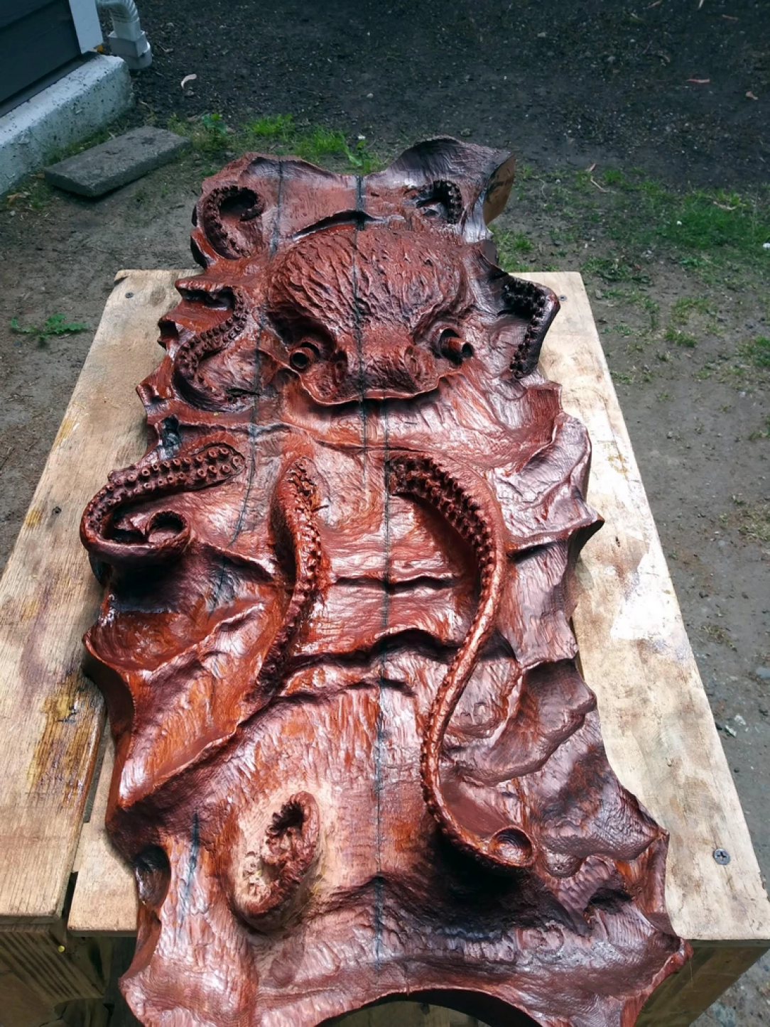 A Kraken I carved from a slab of Western red cedar that I found down in the slough. It&#039;s approximately 4. 5&#039; x 2. 75&#039;