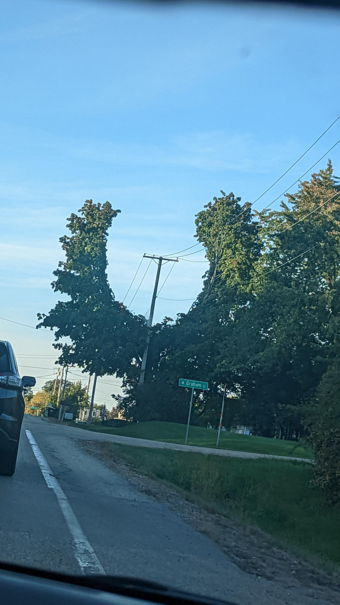 the way the tree is cut around the power line