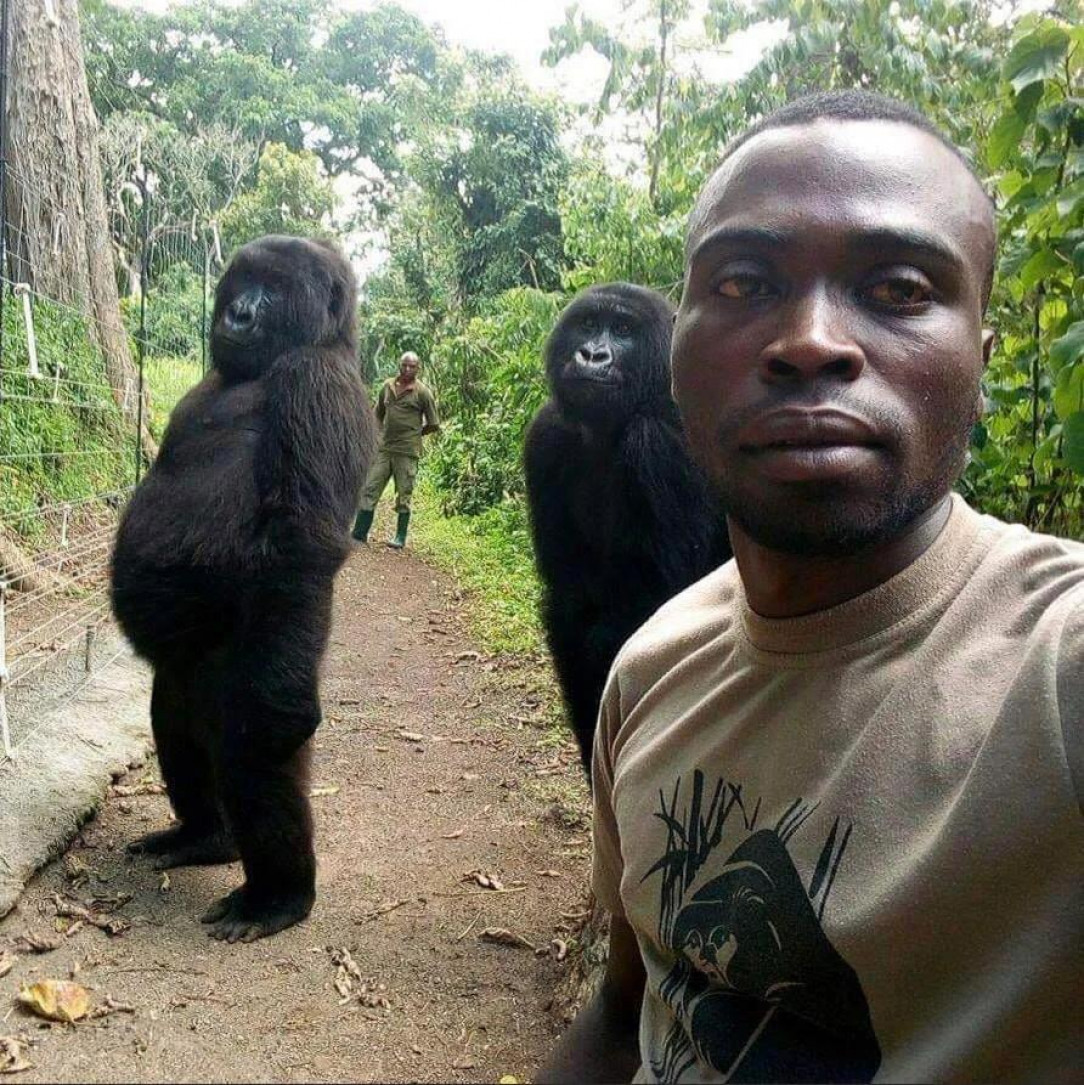 MonkeMan: Handler of Monke