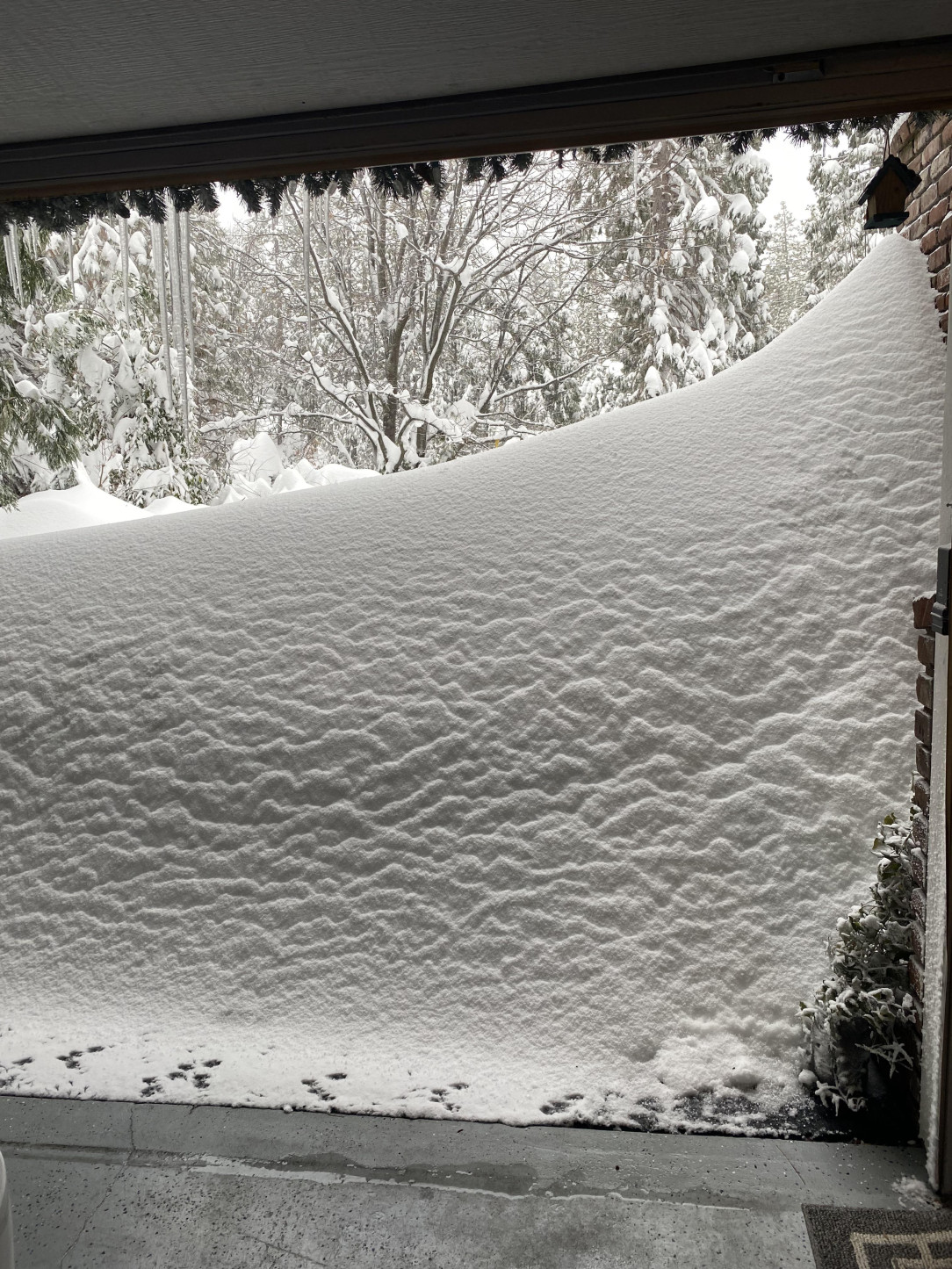 6ft of snow and a 100ft driveway