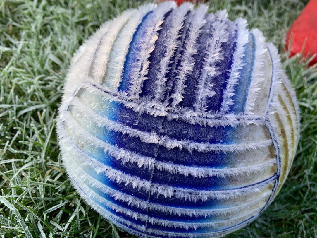 A frozen ball in my garden this morning