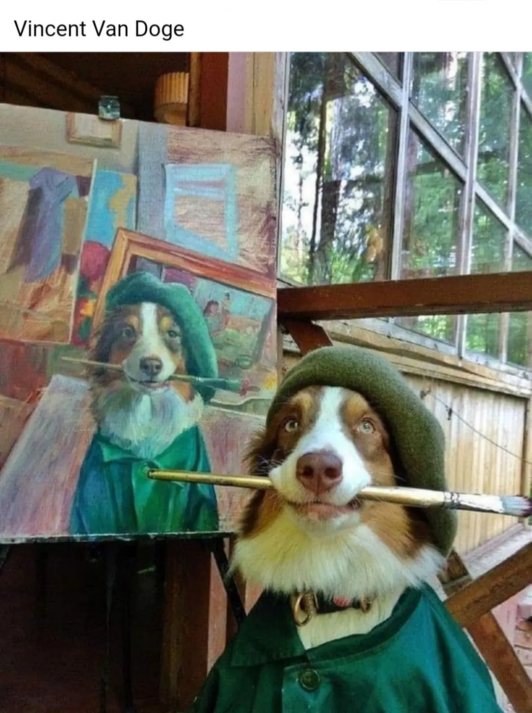 or Doge Da Vinci