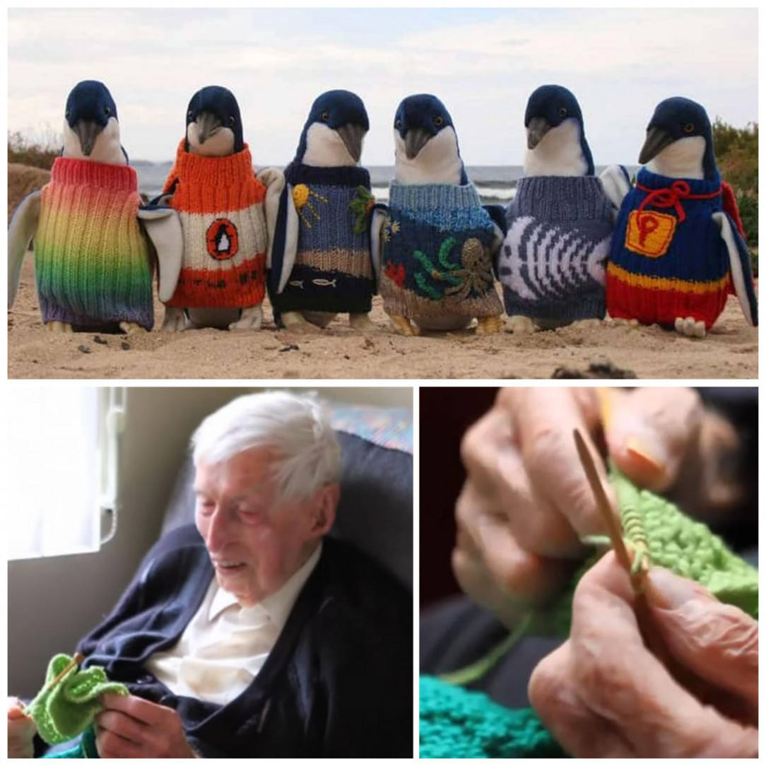 Australia’s Oldest Man Knits Tiny Sweaters For Injured Penguins. Doll-sized sweaters were intended to protect penguins after an oil spill