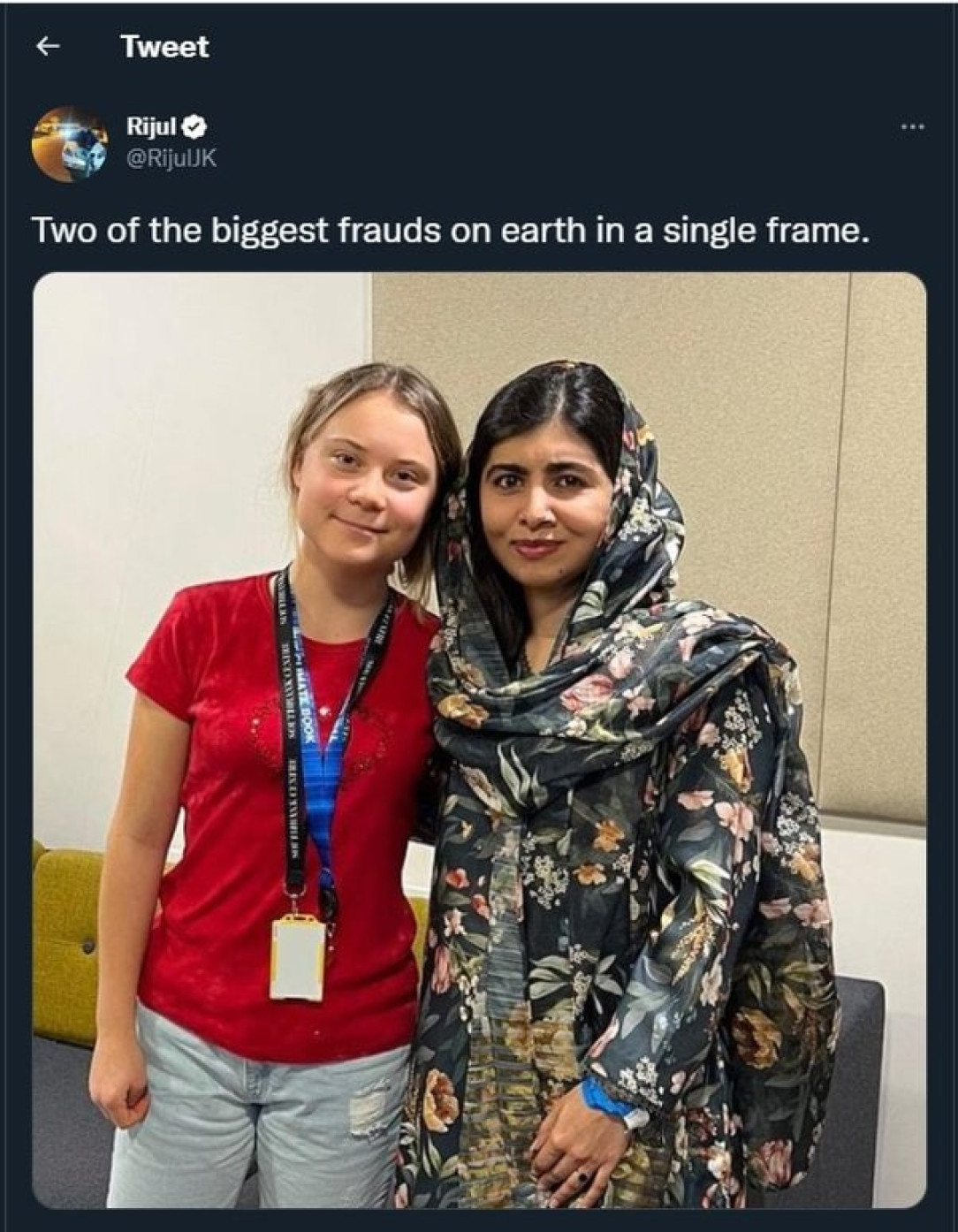 Ah yes, a climate activist and an education activist are the &#039;biggest frauds in the world&#039;