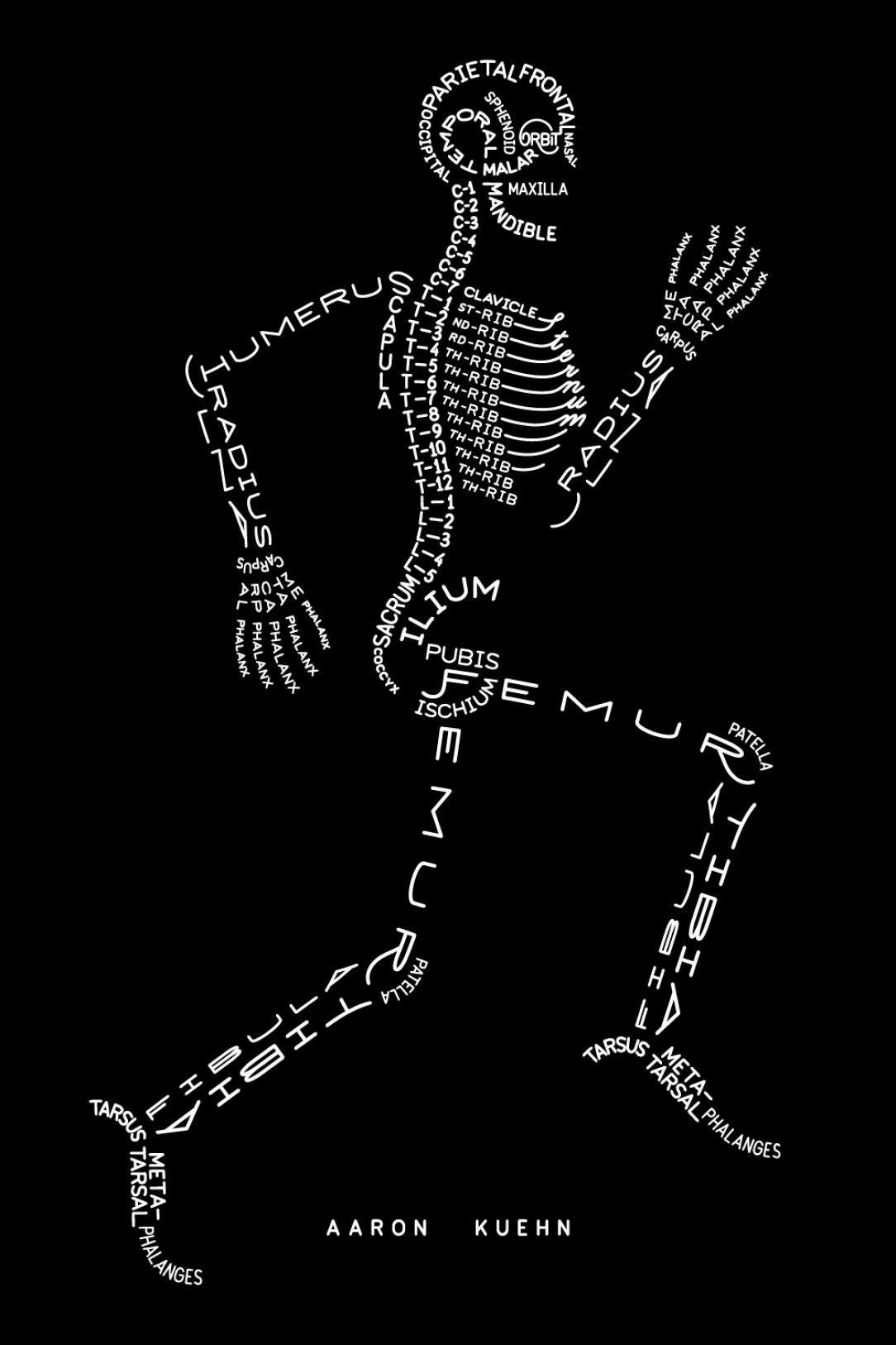 guide to the human skeleton [AARON KUEHN]