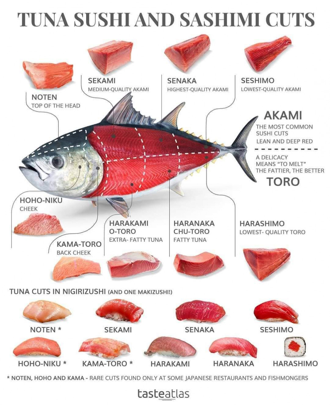 Tuna sushi ans sashimi cut guide