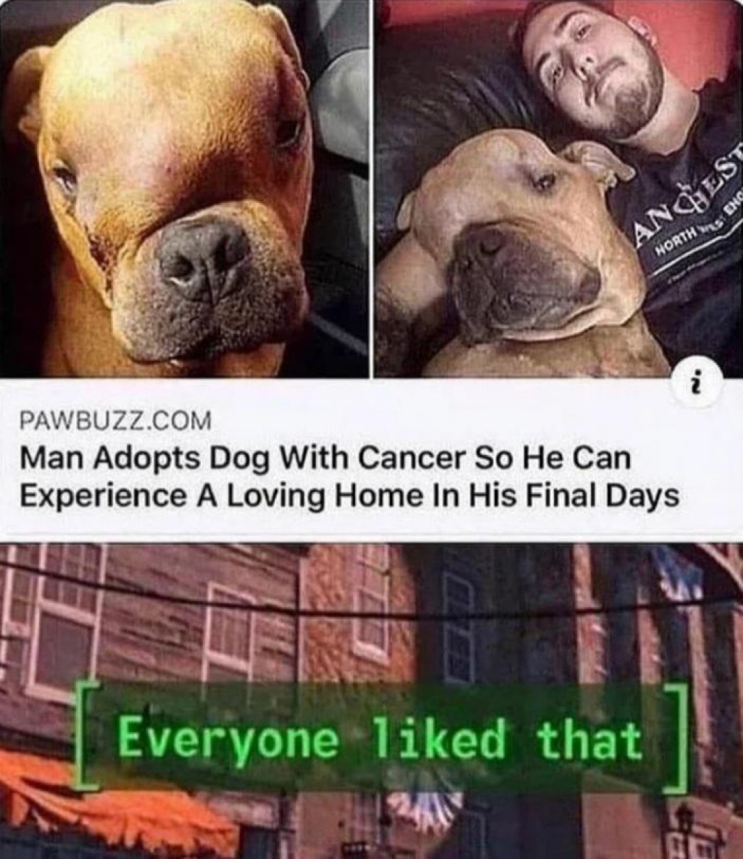 Man&#039;s Best Friend