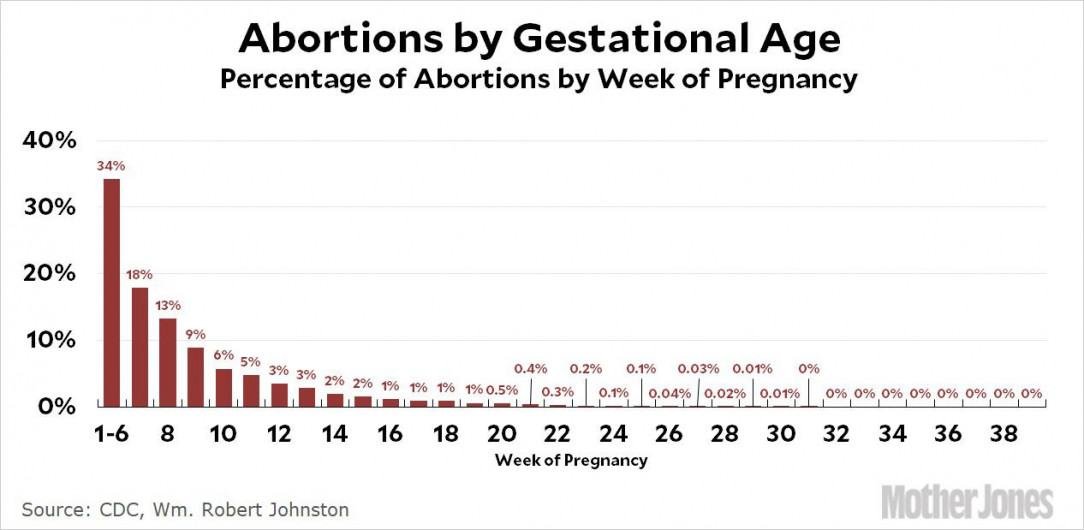 Abortions by Gestational Age