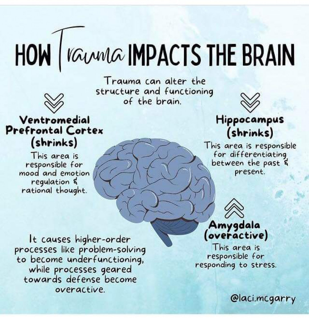 How trauma impacts the brain