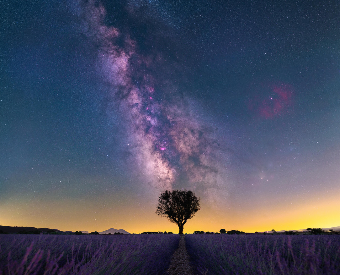 Milky Way above lavanda fields