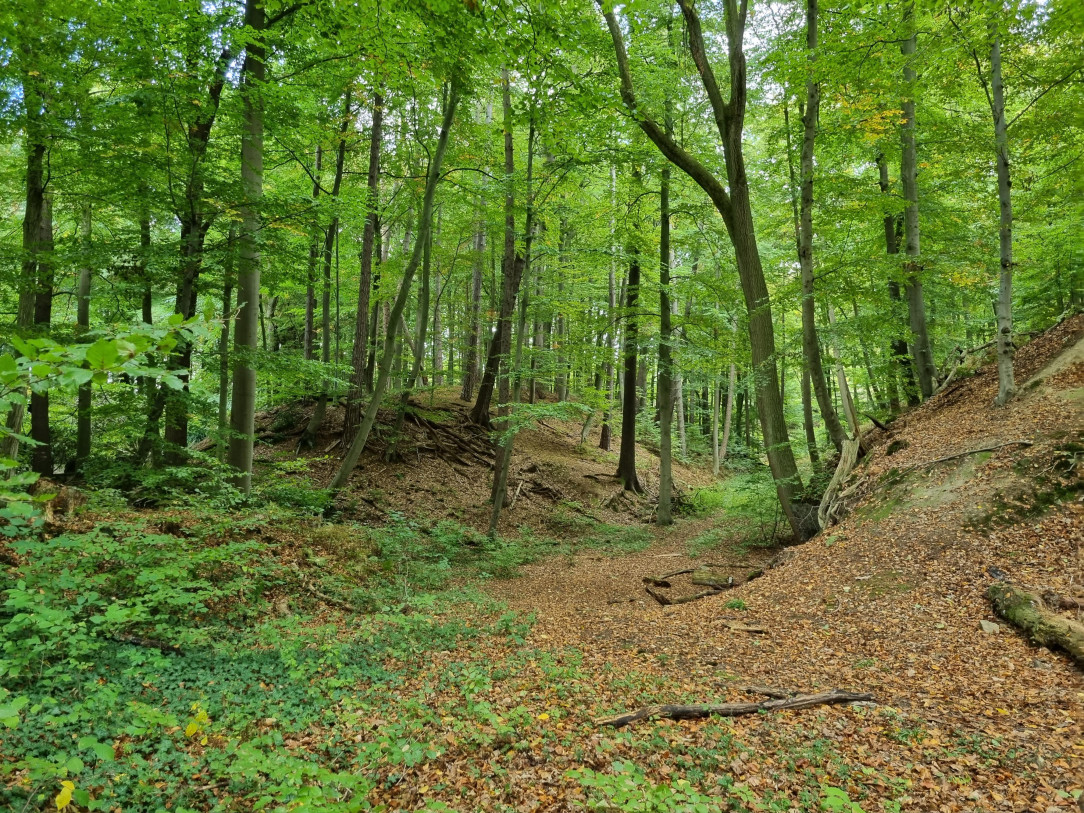 Autumn in Germany