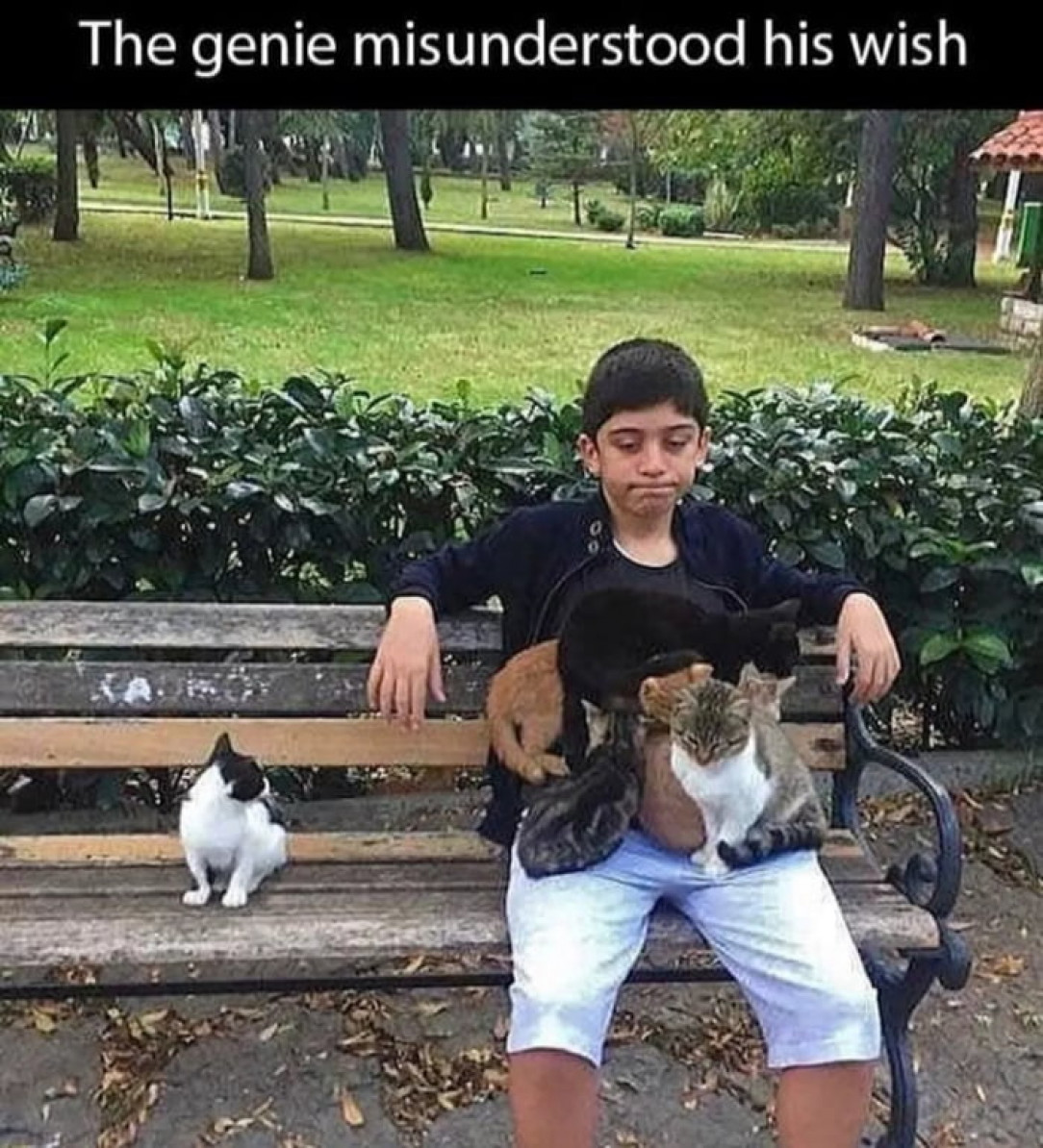 That was not the pussy that he wanted