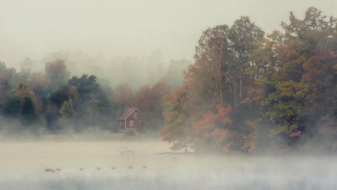 Foggy autumn morning in Sweden