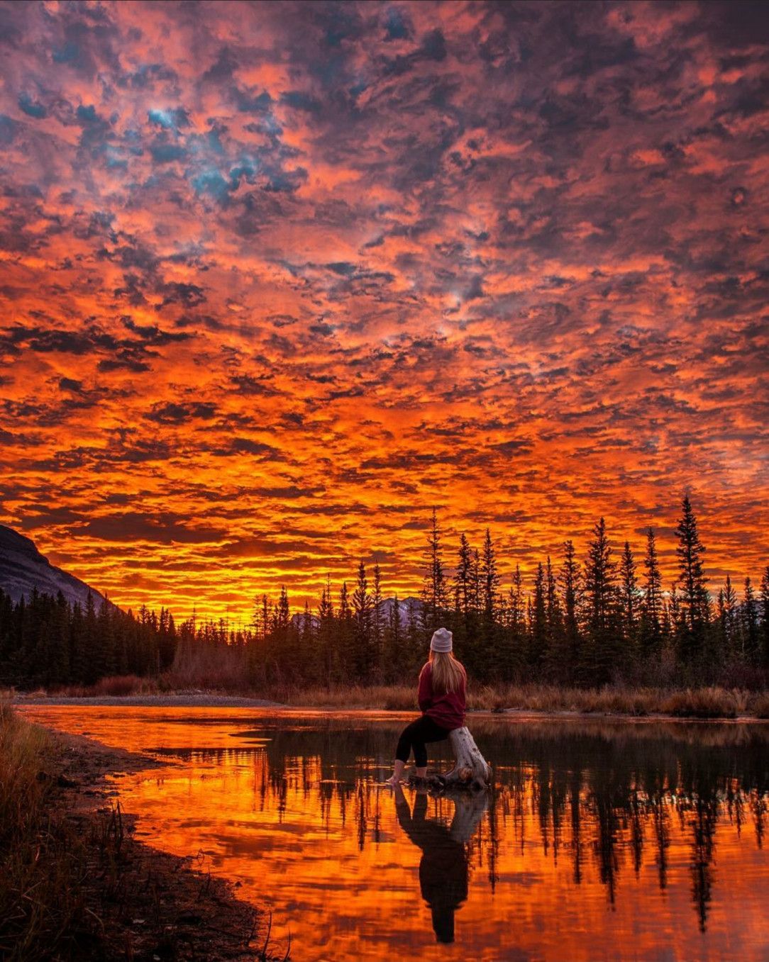 This glorious sunrise captured in Policeman&#039;s Creek, Canmore, Alberta