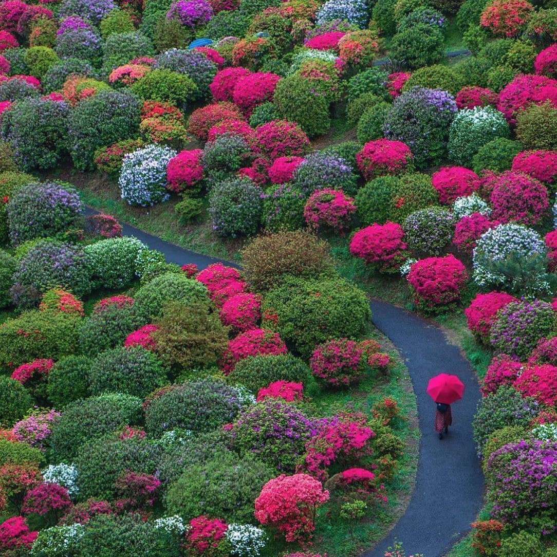 Garden in Ome, Japan