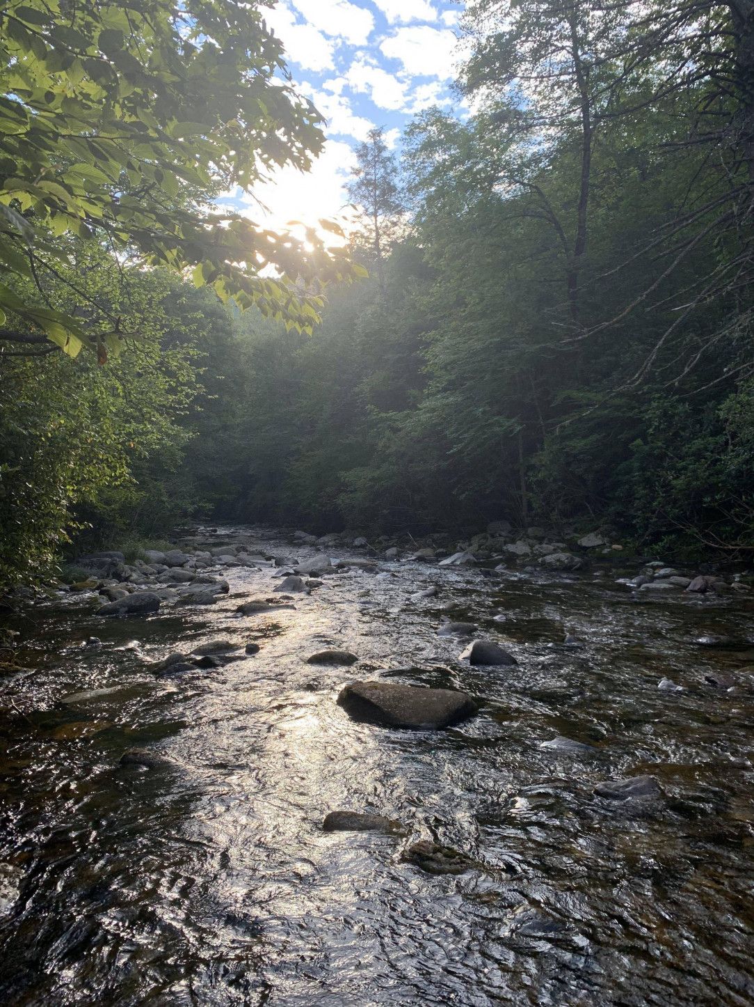 Mount Mitchell Park in North Carolina