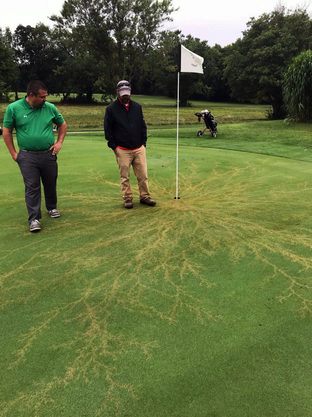 Lightning struck this golf court &amp;amp; left behind these patterns