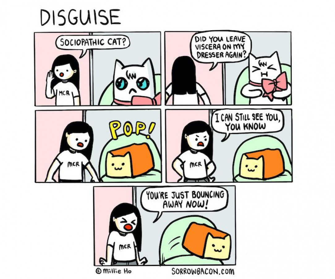 Disguise