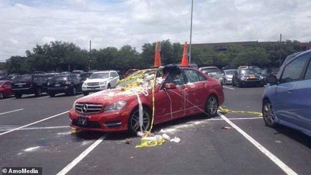 🫤 Don’t park in 4 parking spaces if you don’t want people to see if an egg really will cook on a car